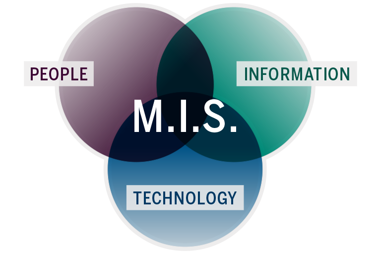 A Venn diagram that says "M.I.S." in the center; the words surrounding it say "people," "information," and "technology." 